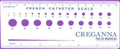 French catheter