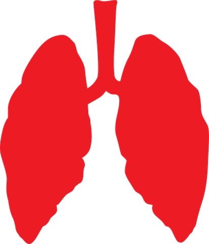 Biodesix Looks to Become ‘the’ Lung Cancer Detection Co. With New Acquisition