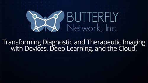 butterfly_network.png