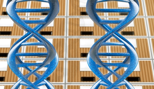 As Genomics Moves to Clinical Domain, Bio-IT Plays Key Role