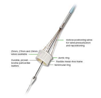 Could an All-Plastic Design Make TAVR 30 Times Safer?