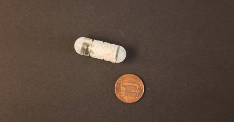 Robotic capsule, RoboCap, designed to tunnel through the mucus barrier for drug delivery of insulin and other large proteins.