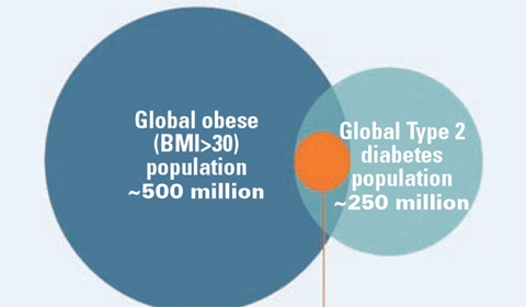 Fight Diabetes and Obesity without Surgery
