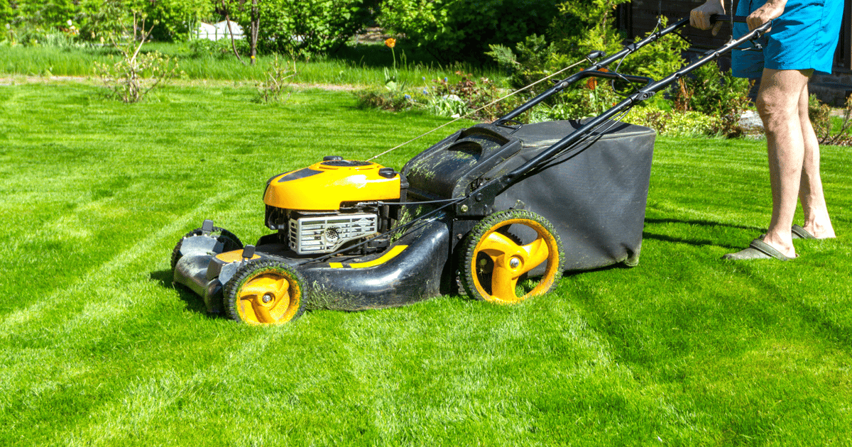 From Mowing Lawns & Washing Dishes to Medtech CEO
