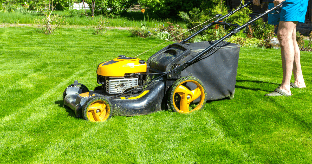 From Mowing Lawns & Washing Dishes to Medtech CEO