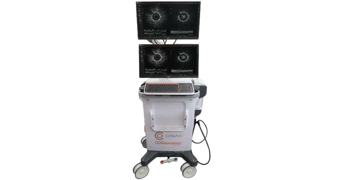 Hybrid IVUS and OCT Imaging System Development