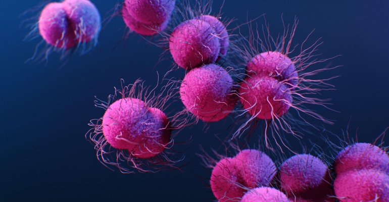 medical illustration of antimicrobial resistant, Neisseria gonorrhoeae bacteria produced by the CDC.