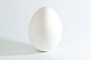 White_chicken_egg.jpg