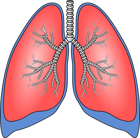 Veracyte Finds Ally in J&J for Early Lung Cancer Detection