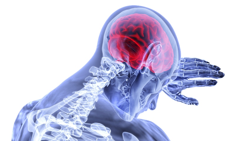 Ultrasound Could be Vital Component for Potential Glioblastoma Treatment