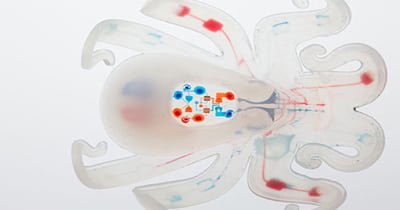 Meet The Octobot: The World’s First Autonomous Soft Robot