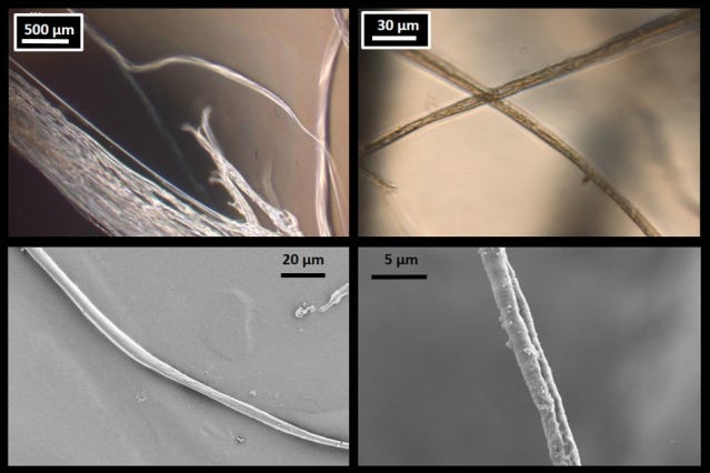 Lab-grown fibers boast high resolution. The above images from an optical microscope and the below images from a scanning electronic microscope show the precision with which the fibers can be produced. 