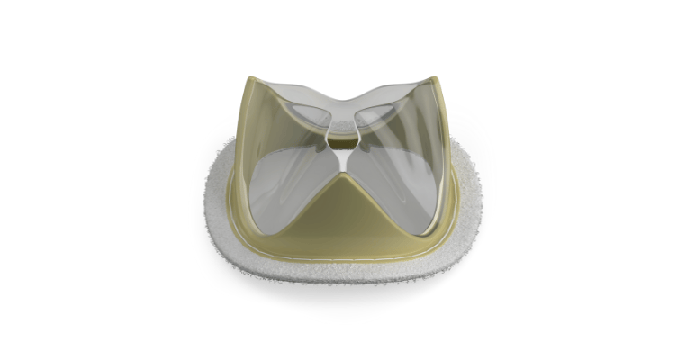 This Company Is Reinventing the Heart Valve