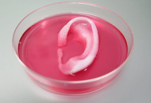 3-D Bioprinting Wake Forest Ear