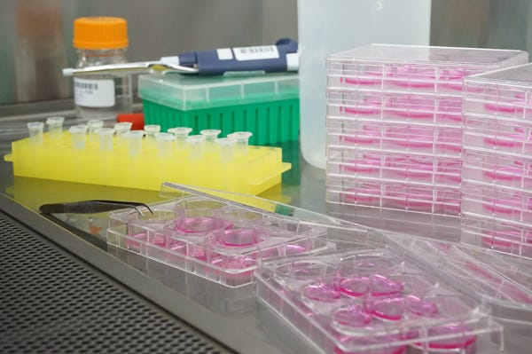 Nelson Labs In Vitro Biocompatibility Testing