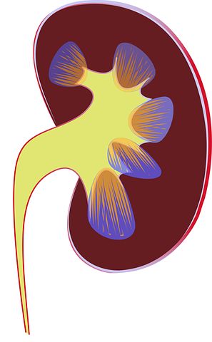 Kidney Stone Detection? (There’s an App for That Too)