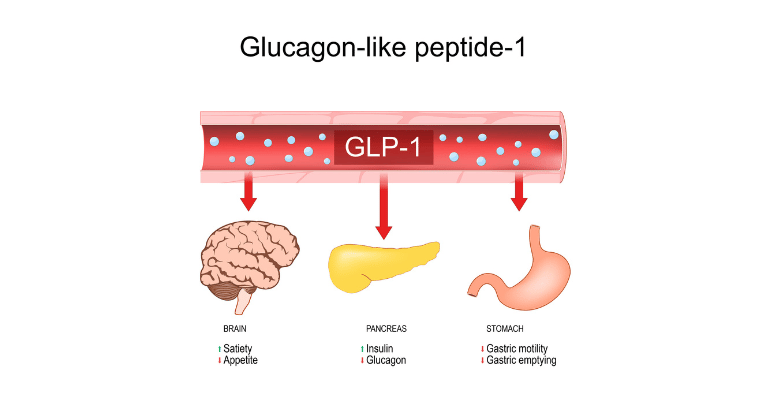 hhvb glp 1 drops ingredients Dr. Stephanie's GLP-Wonder Rapid Dissolving GLP-1 Capsules hhvb glp 1 drops ingredients Dr. Stephanie's GLP-Wonder Rapid Dissolving GLP-1 Capsules