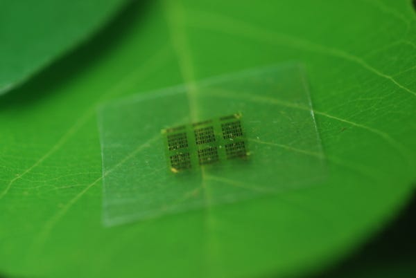 A cellulose nanofibril (CNF) computer chip on a leaf. Image from Yei Hwan Jung, Wisconsin Nano Engineering Device Laboratory