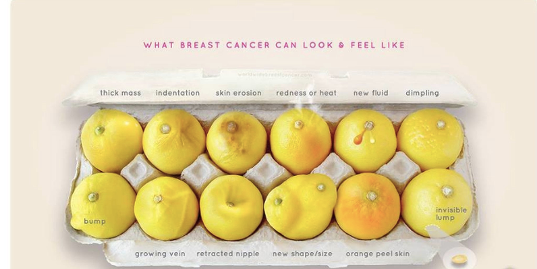 Bleuet Partners with Know Your Lemons for Breast Cancer Awareness Month 