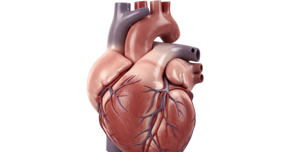 BrioHealth Score IDE Approval for BioVAD System Trial Enrollment