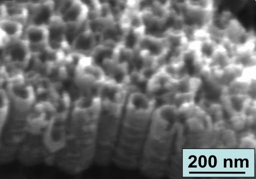 Nasseo nanotubes