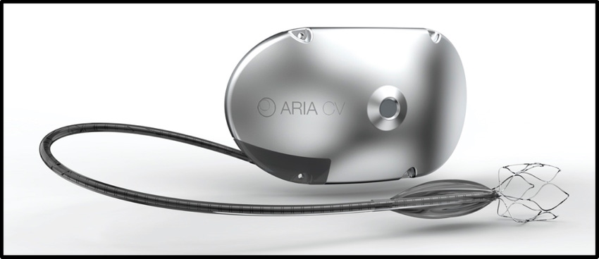 Aria CV Wants to Offer a Device Option for Pulmonary Arterial Hypertension