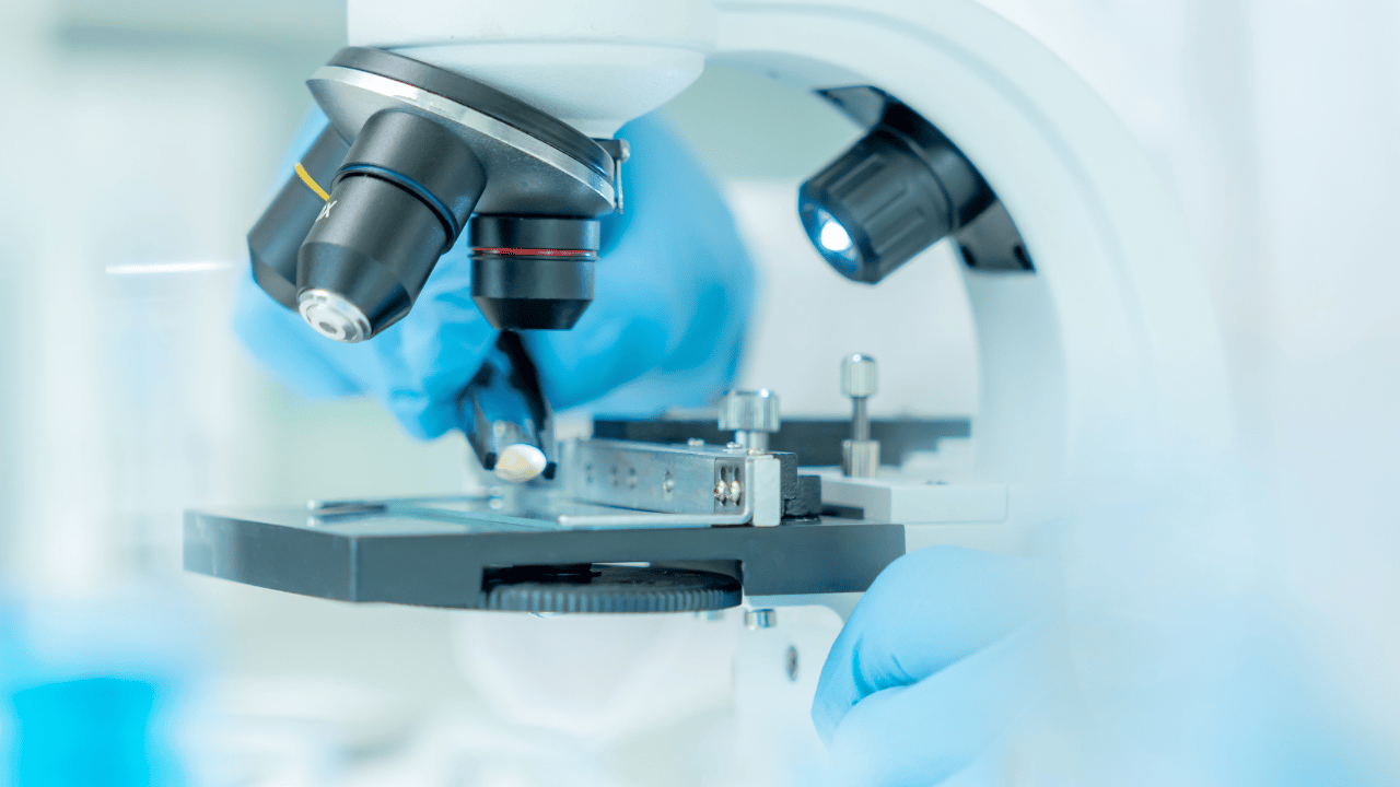 SetPoint's Miniature Implant Offers New Hope for Rheumatoid Arthritis ...