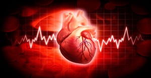 heartandheartbeat (1).jpg