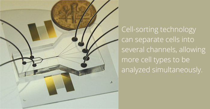 Cell separation technology can separate cells into several channels, allowing more cell types to be analyzed simultaneously..png