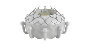 Evoque transcatheter tricuspid valve replacement (TTVR) system, manufactured by Edwards Lifesciences