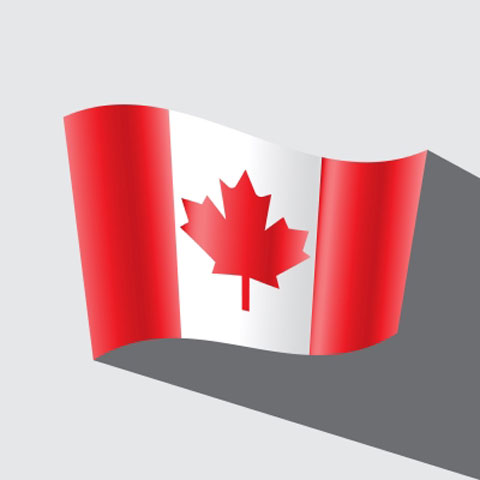 A Primer on Canadian Medical Device Regulations