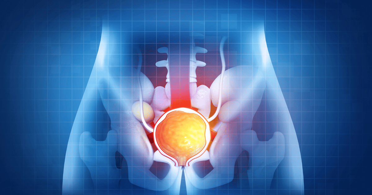 Cook Medical Leads Zenflow's $52M Series D for BPH Device