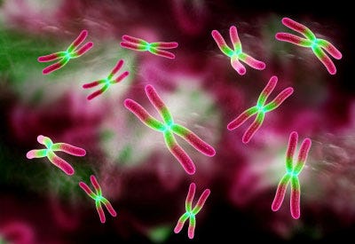 Chromosomes.jpg