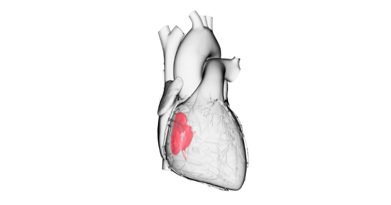 Abbott Heart Valve Data Impresses at TVT