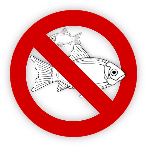 Are Fish Allergy Tests Unreliable?