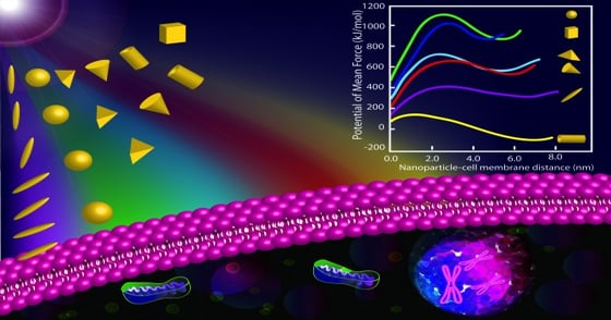 When It Comes to Nanoparticles, Size (along with Shape and Charge) Mat