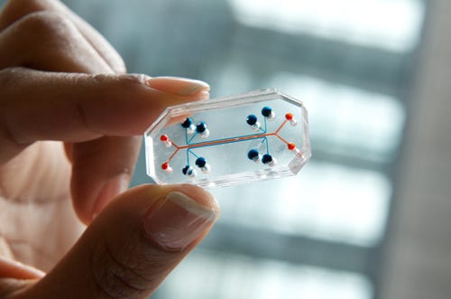Microphysiological Systems Wyss Institute lung on a chip