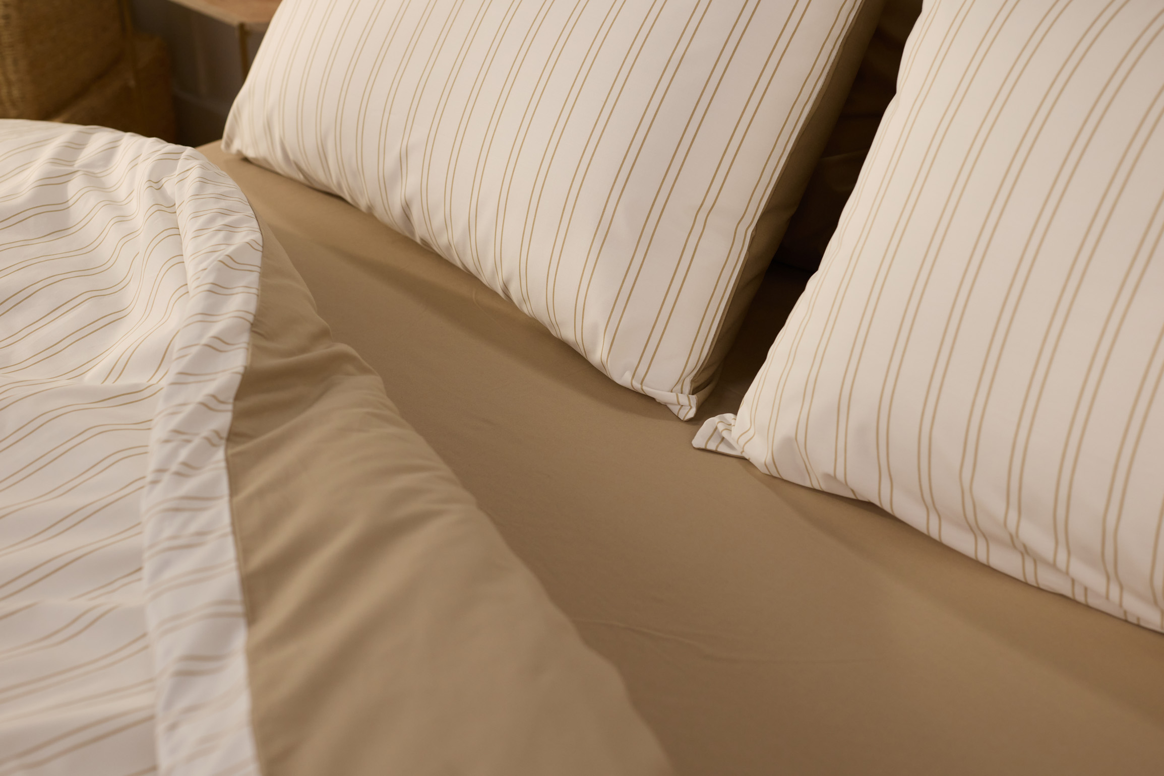 Beige_Stripes_PErcale (3).jpg