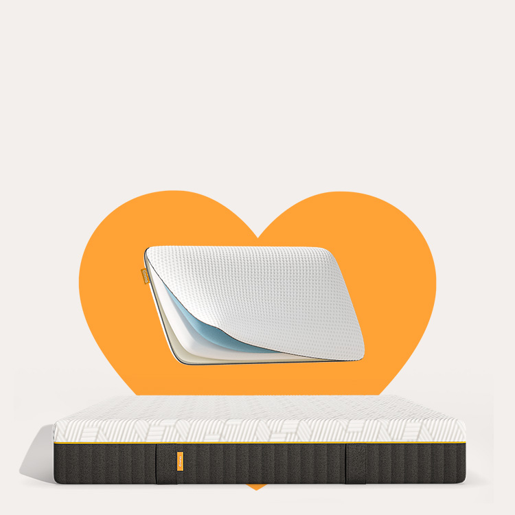 L'image montre une offre spéciale temporaire.