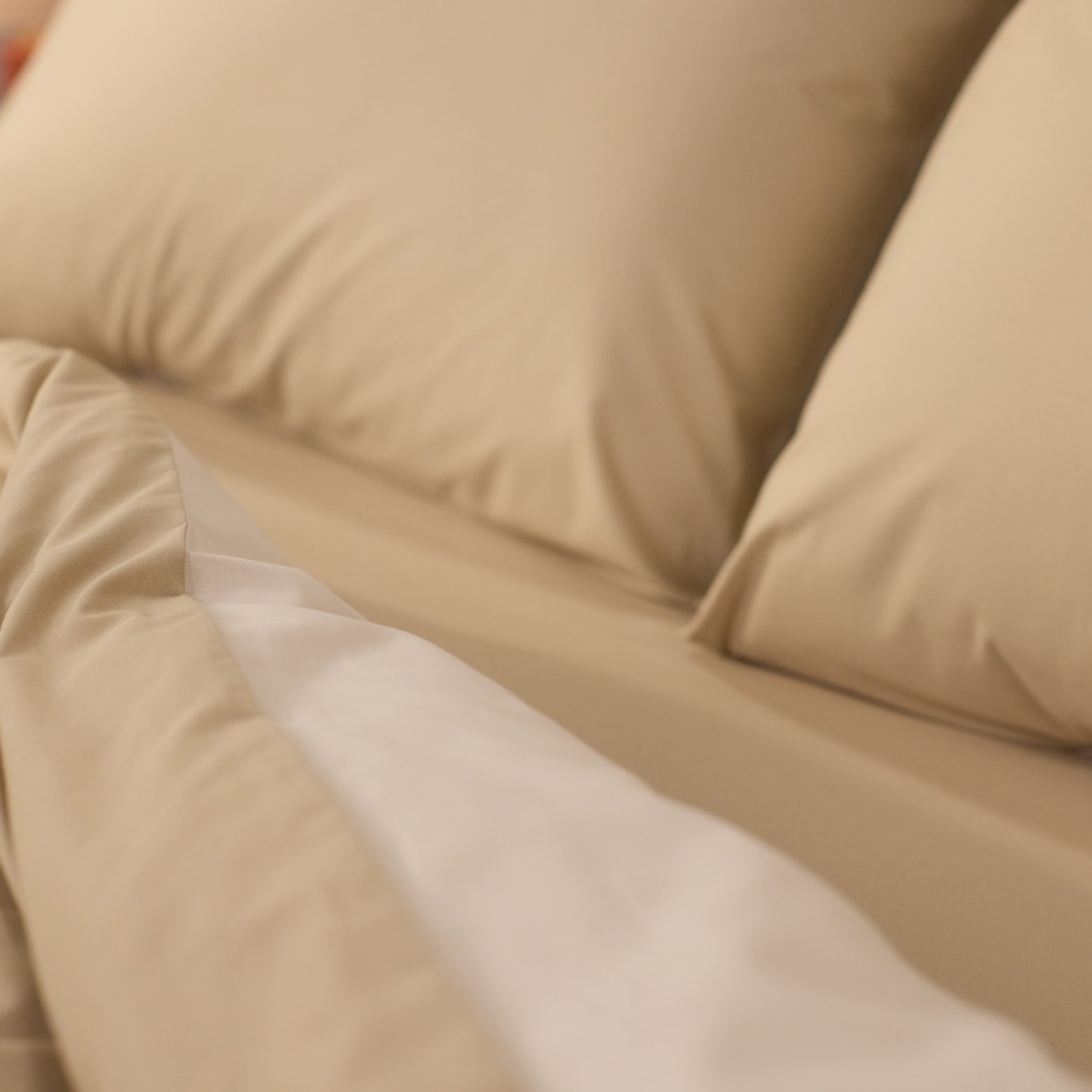 Cream_&_Beige_Percale_Gallery (5).jpg