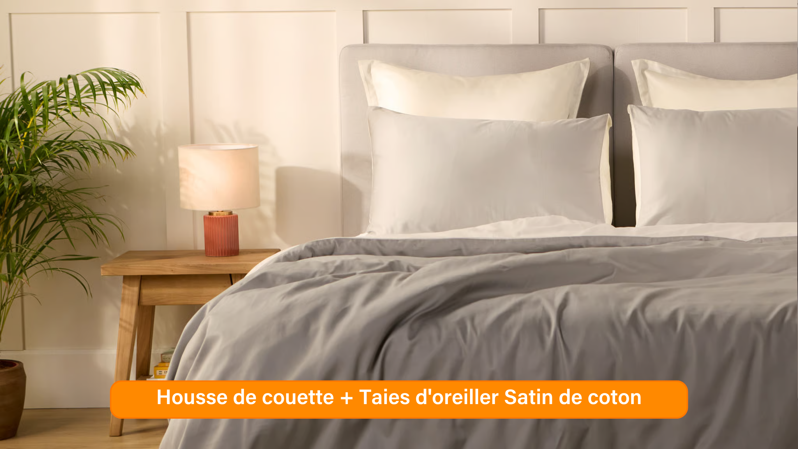 Ensemble exclusif Pré sales (2740 x 1540 px) (57).png
