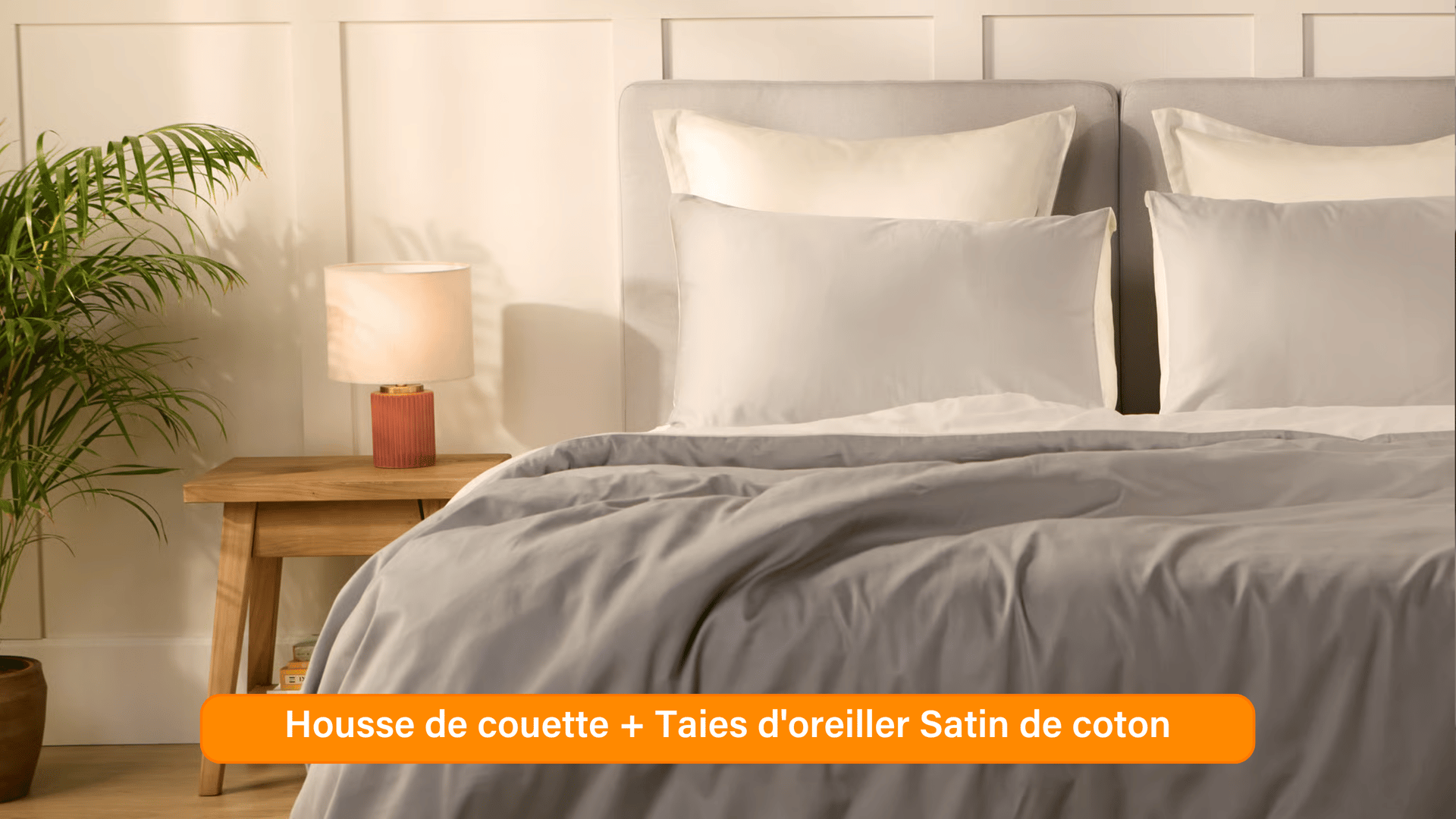Ensemble exclusif Pré sales (2740 x 1540 px) (57).png