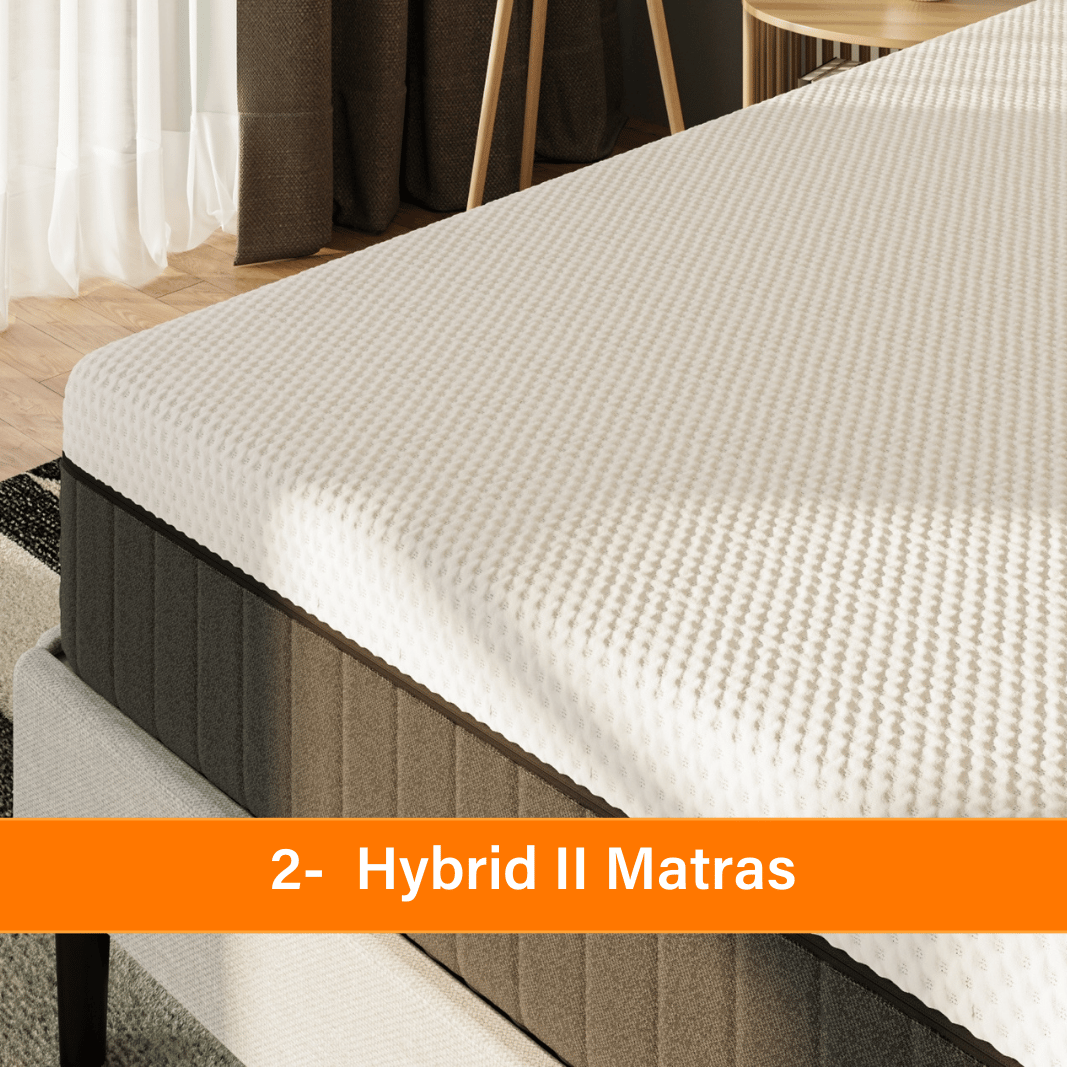 BENL_Bundle_BBV5_3.png