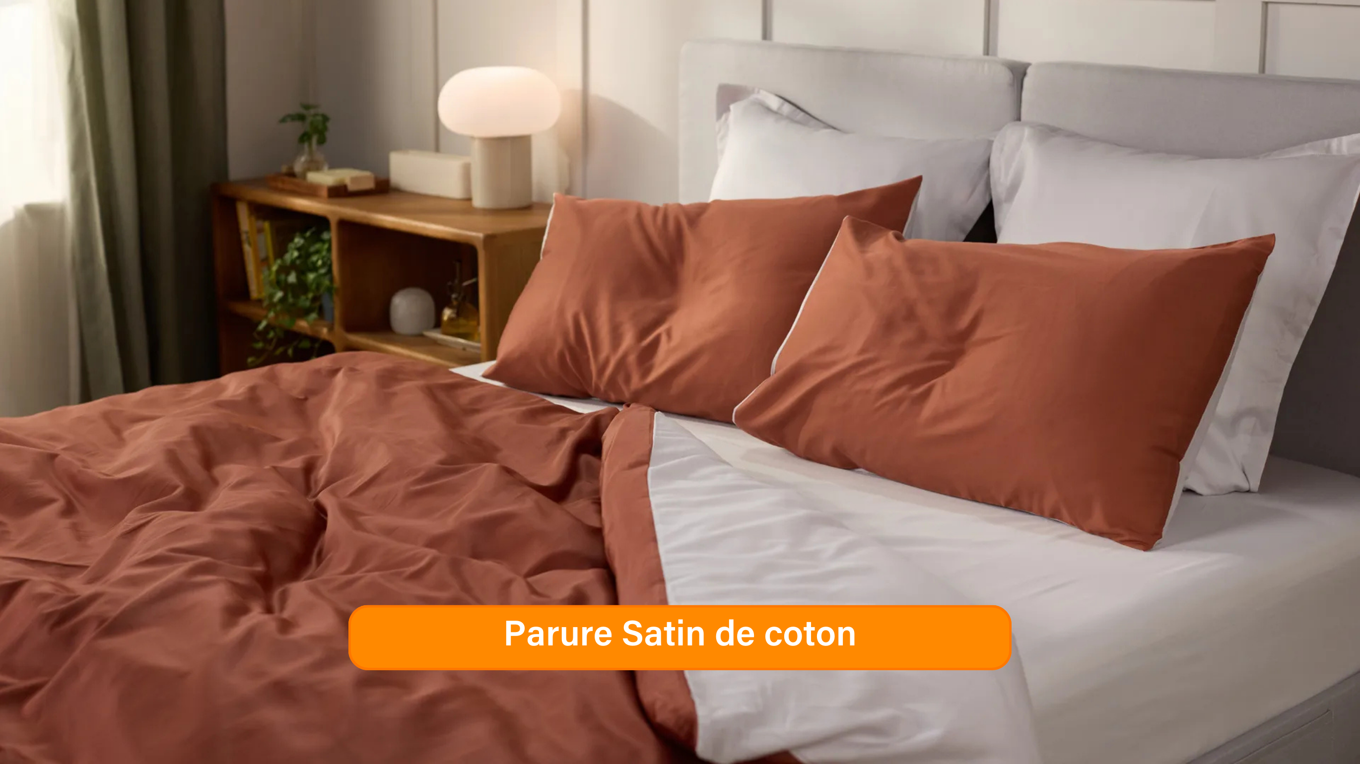 Ensemble exclusif Pré sales (2740 x 1540 px) (44).png