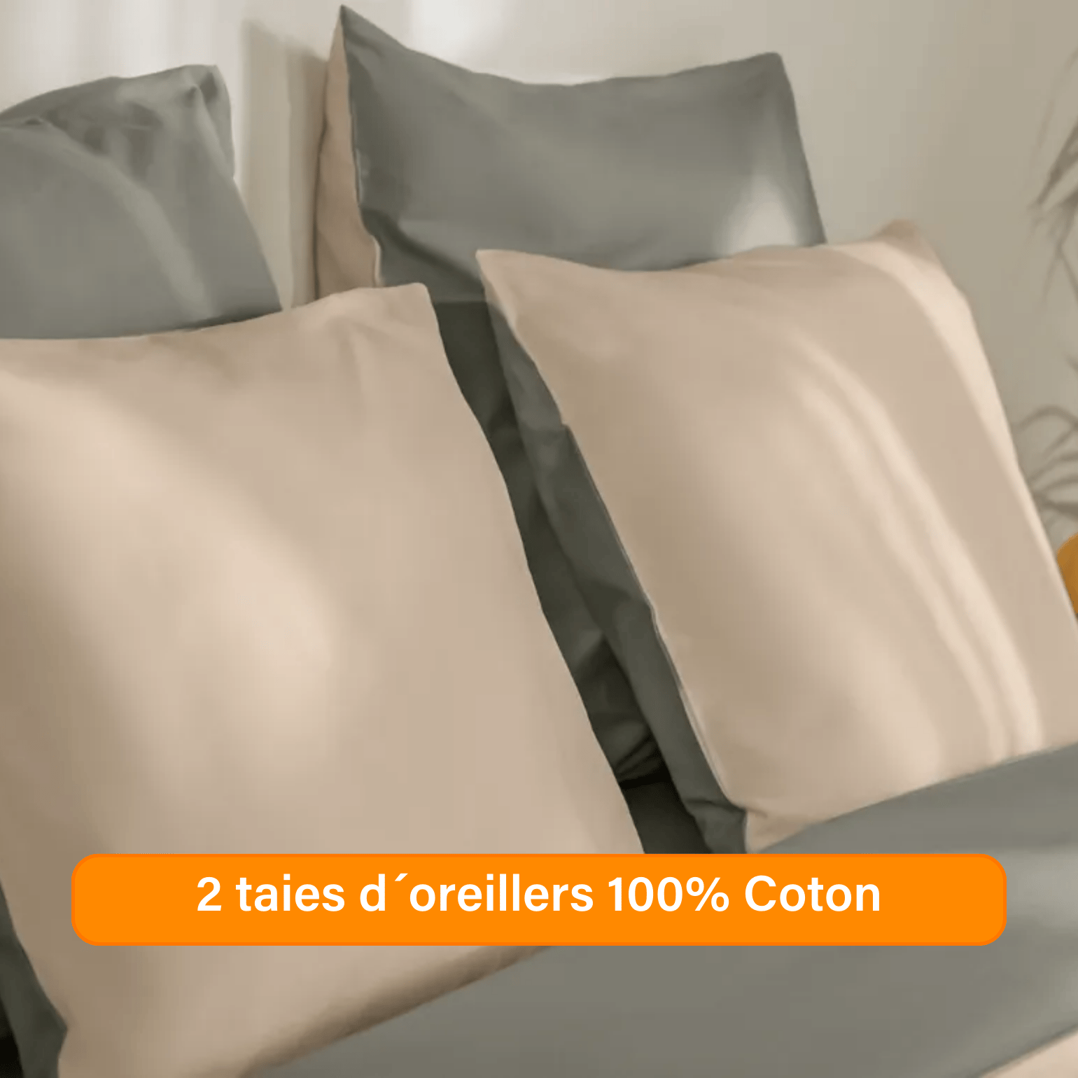 Ensemble exclusif Pré sales (2740 x 1540 px) (28).png
