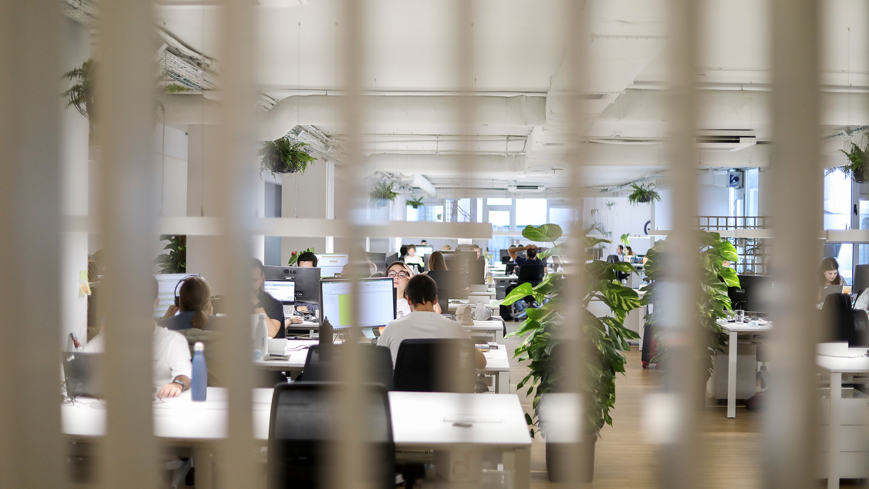 Blick auf ein modernes, helles Großraumbüro 