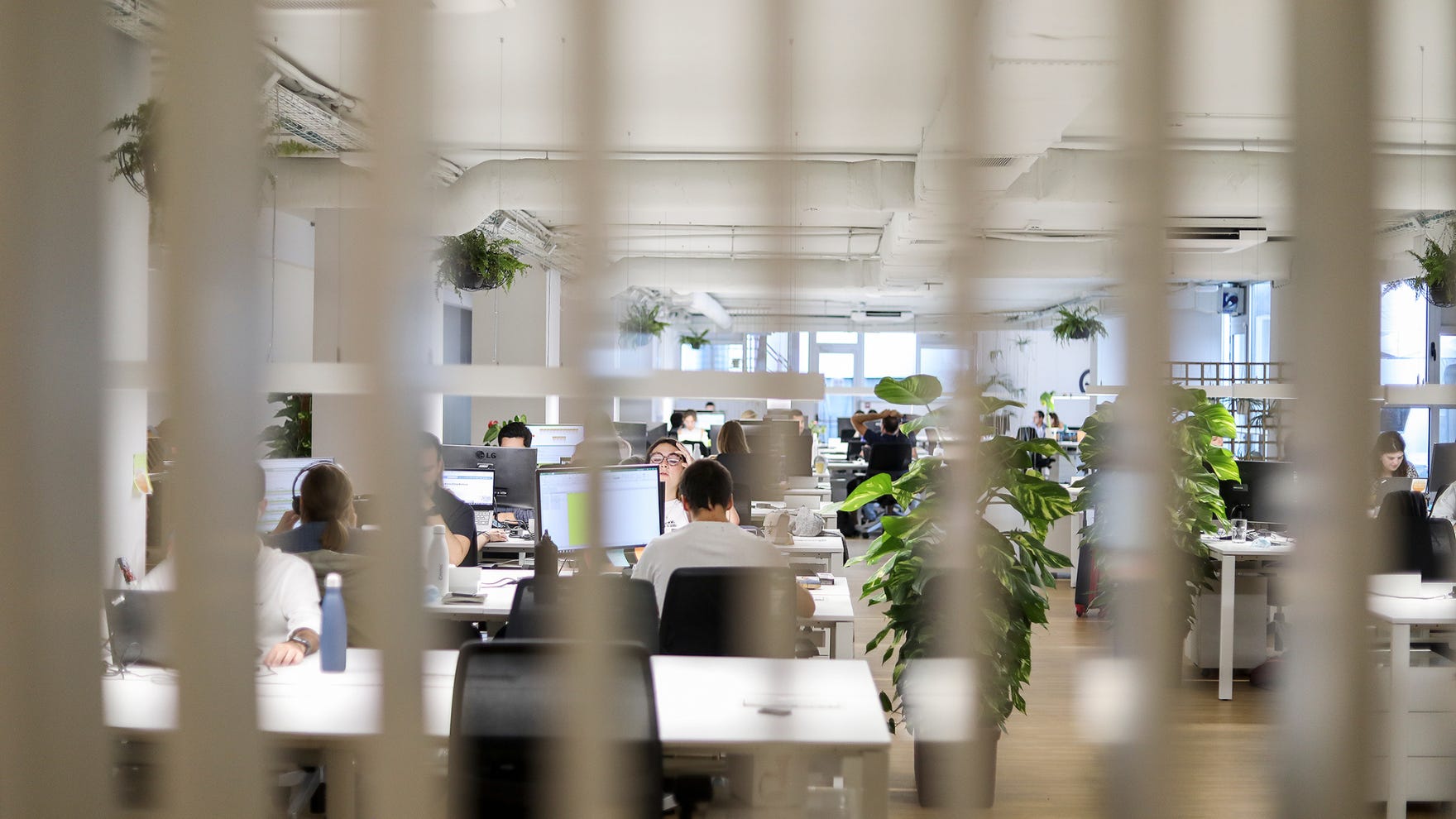 Blick auf ein modernes, helles Großraumbüro