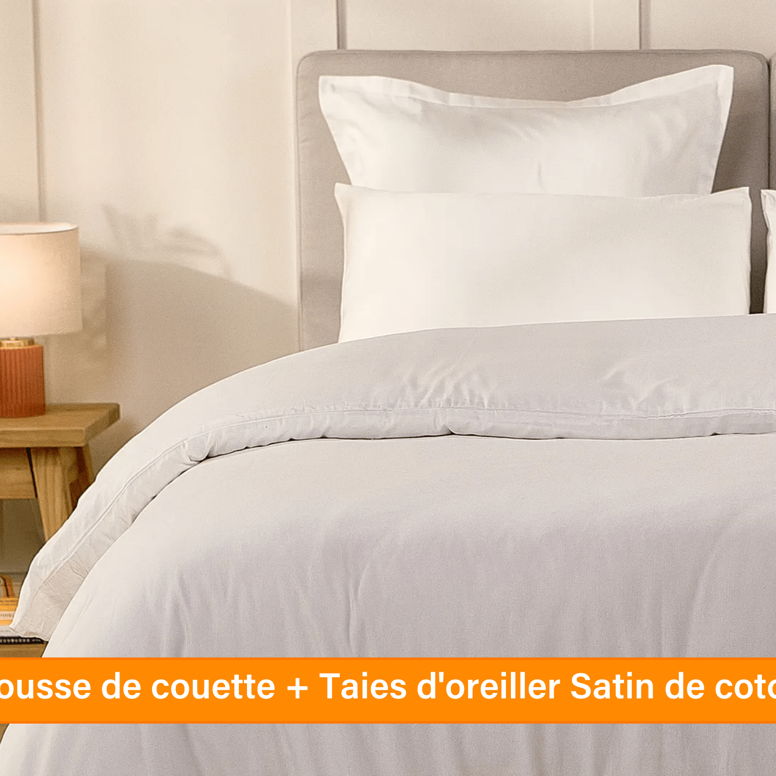Ensemble exclusif Pré sales (2740 x 1540 px) (45).png