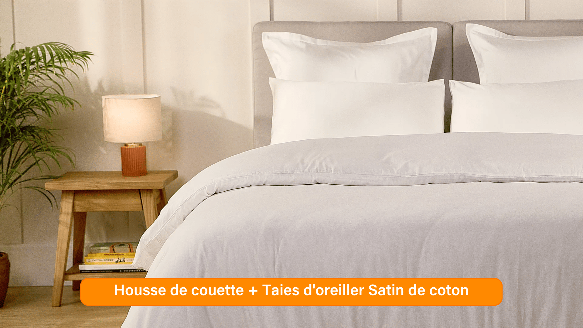 Ensemble exclusif Pré sales (2740 x 1540 px) (45).png