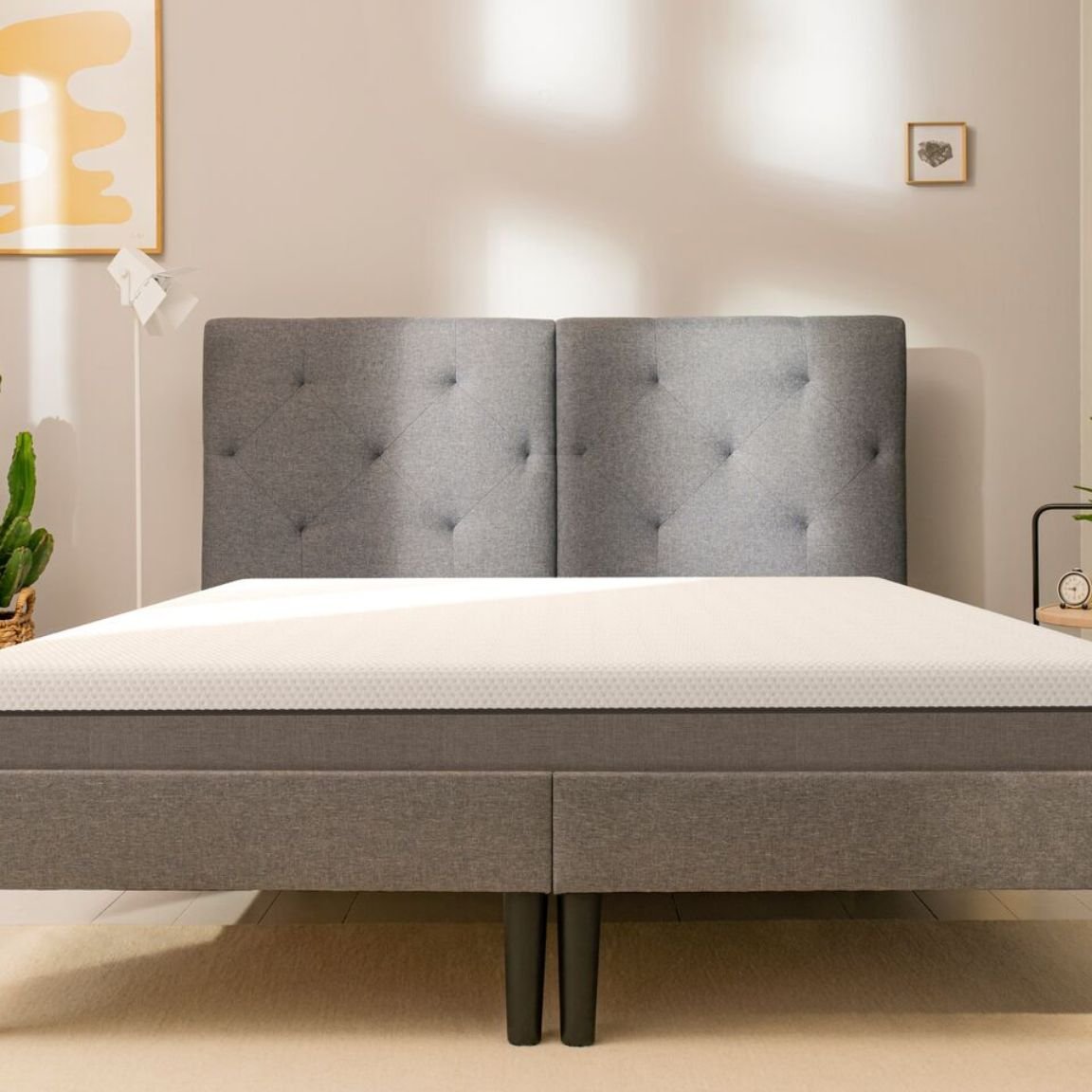 Camera moderna con letto grigio imbottito, cactus su cesta intrecciata, tavolino con libri e decorazioni, e pareti chiare